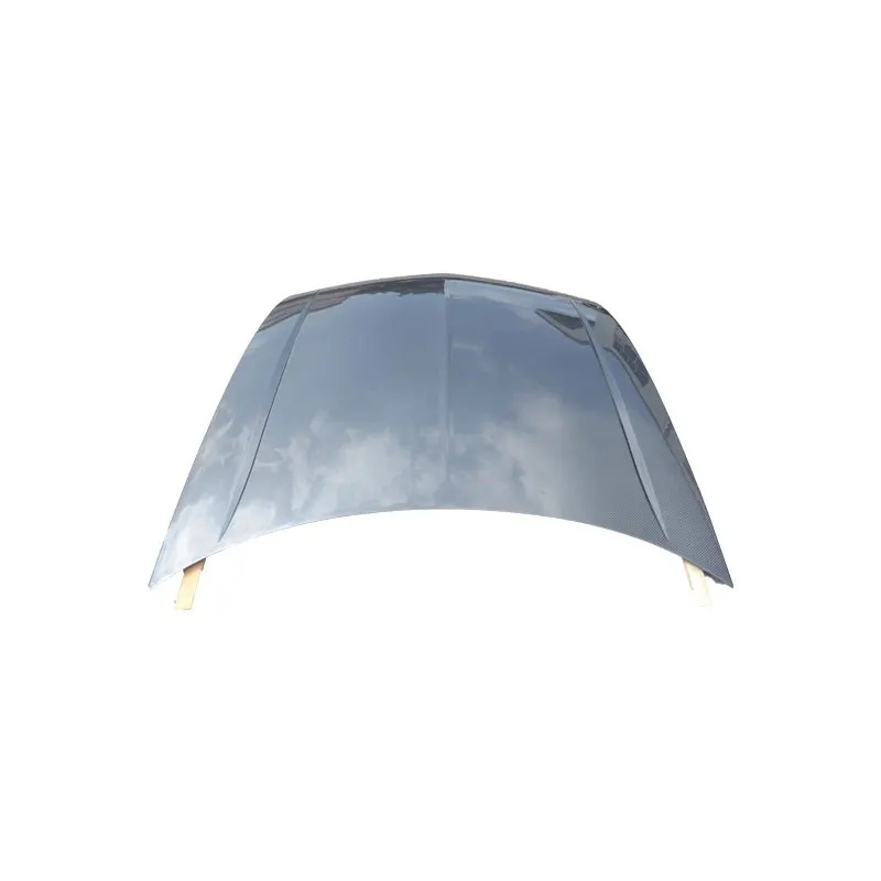 OEM Style Carbon Fiber Engine Hood Bonnet for 2009 Spirior Engine Hood Car Cover